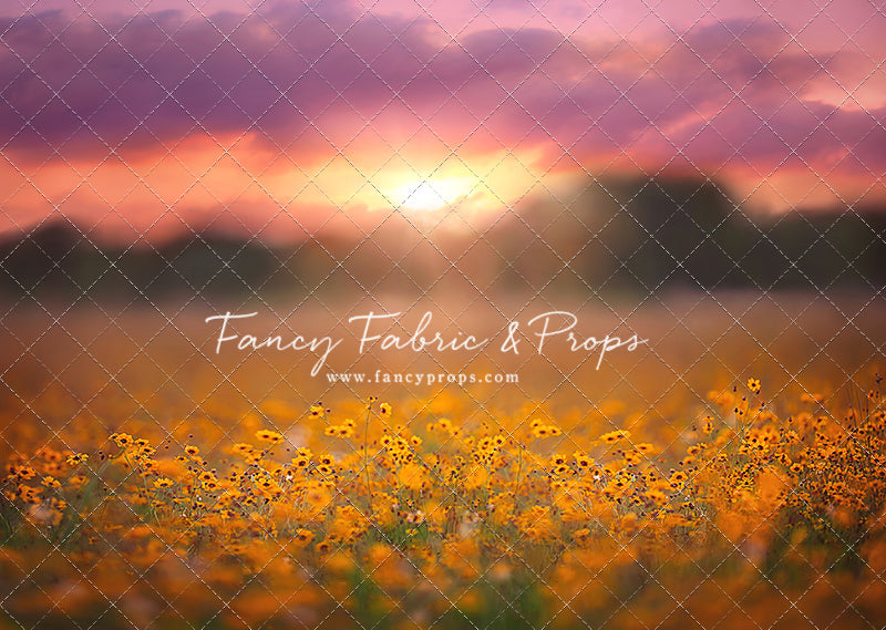 Golden Hour Wildflowers