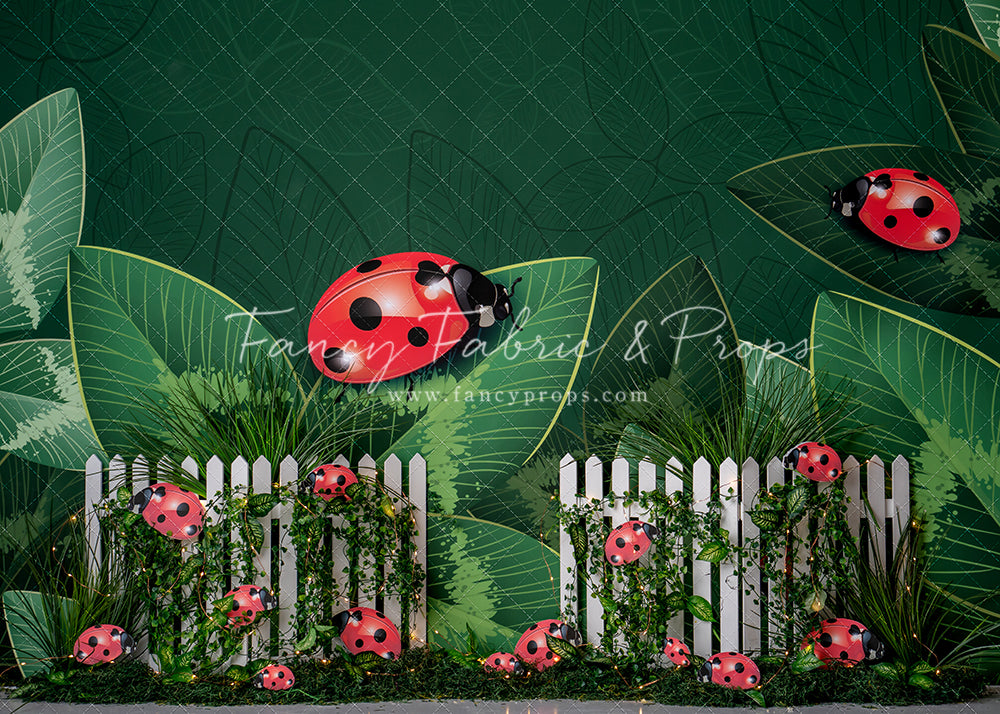 Little Bug Big World