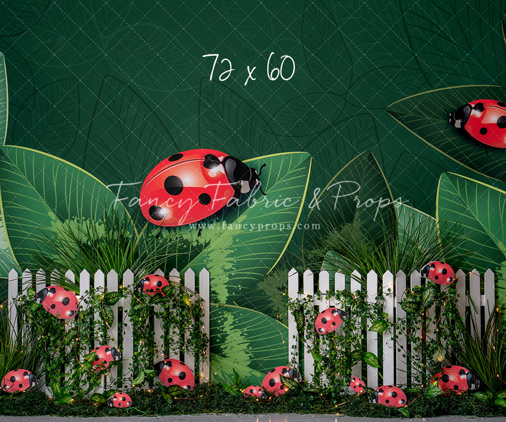 Little Bug Big World