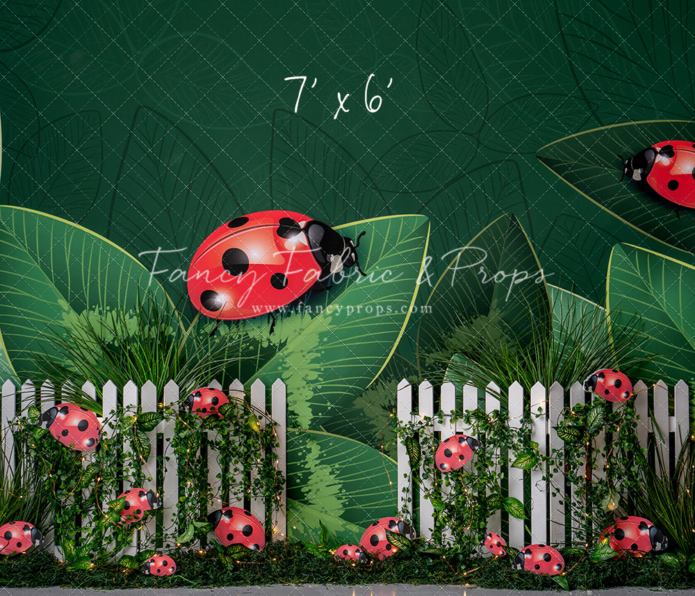 Little Bug Big World