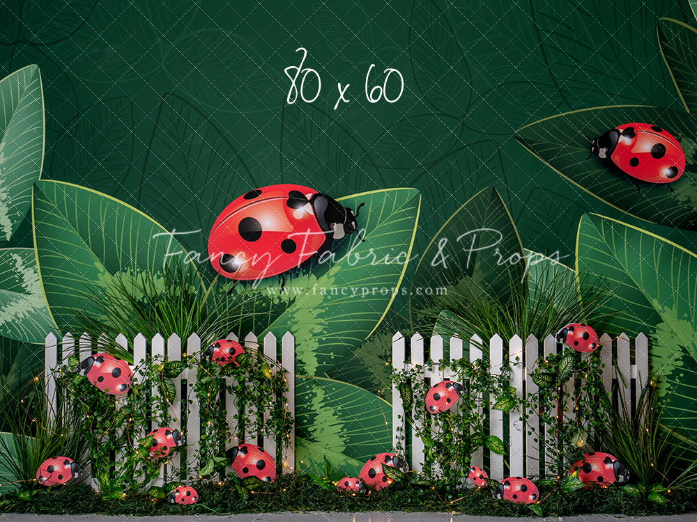 Little Bug Big World