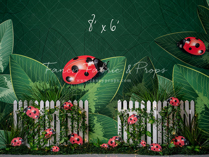 Little Bug Big World