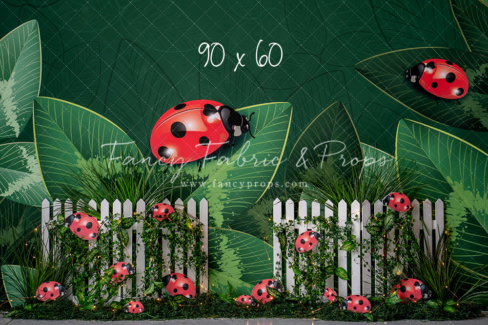 Little Bug Big World