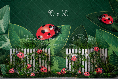 Little Bug Big World