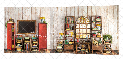 Little Einstein 2 pc Room