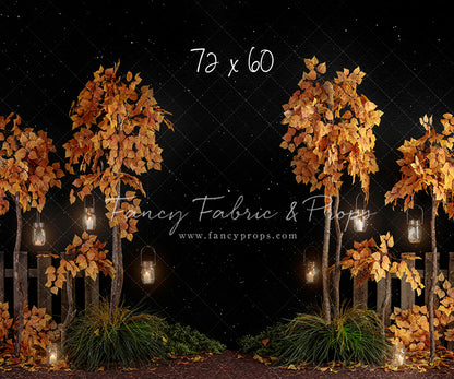 Midnight Fall Forest