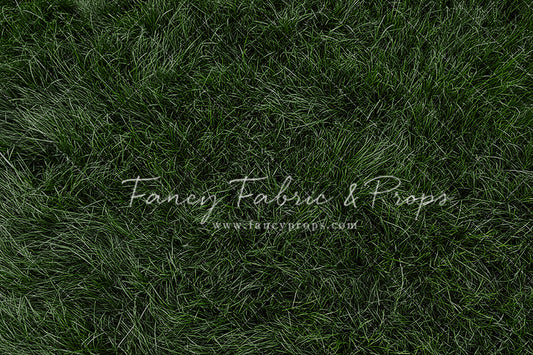 Christmas At The Cabin Mini Room