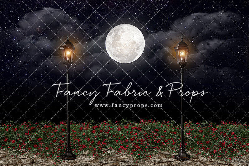 Romantic Moonlit Stroll