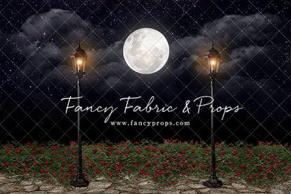 Romantic Moonlit Stroll