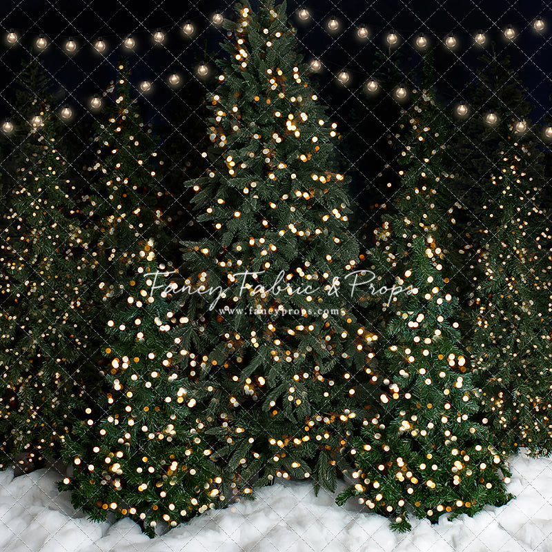 Snowy Christmas At The Barn 2pc Mini Room