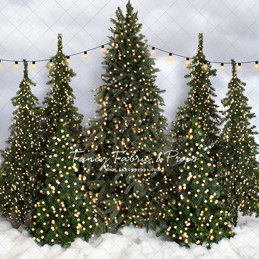 Snowy Tree Farm Traditions