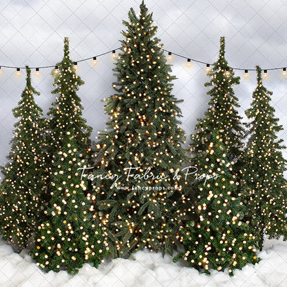 Snowy Tree Farm Open Daily 2pc Mini Room