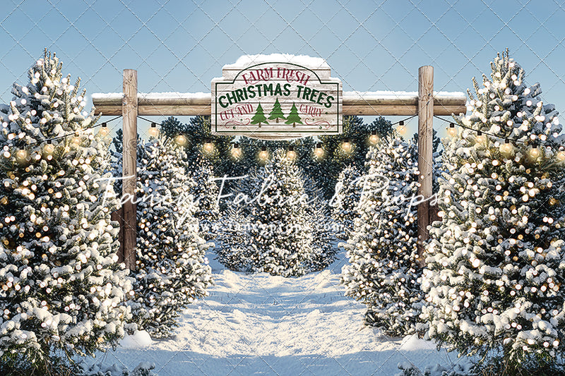 Snowy Winter Tree Farm