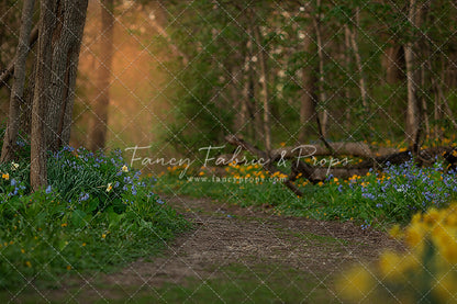 Spring Bluebell Path