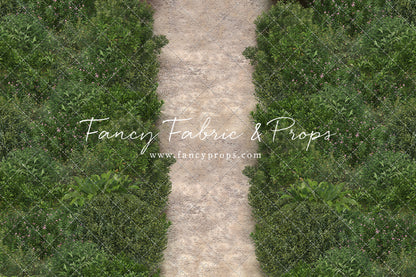 Dreamy Spring Path 2pc Set