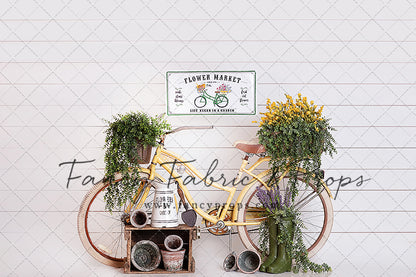 Springtime Bicycle Ride