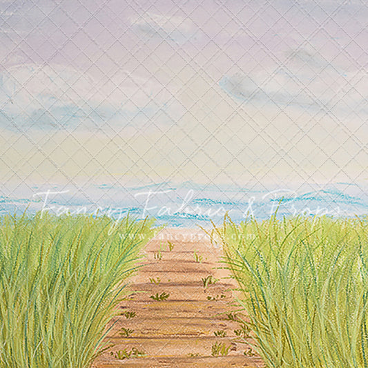 Beachfront Boardwalk