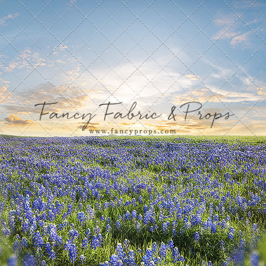 Blue Bonnet Afternoon