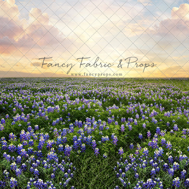 Blue Bonnet Sunrise - With Sweep Option