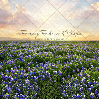 Blue Bonnet Sunrise - With Sweep Option