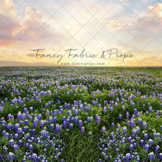Blue Bonnet Sunrise - With Sweep Option