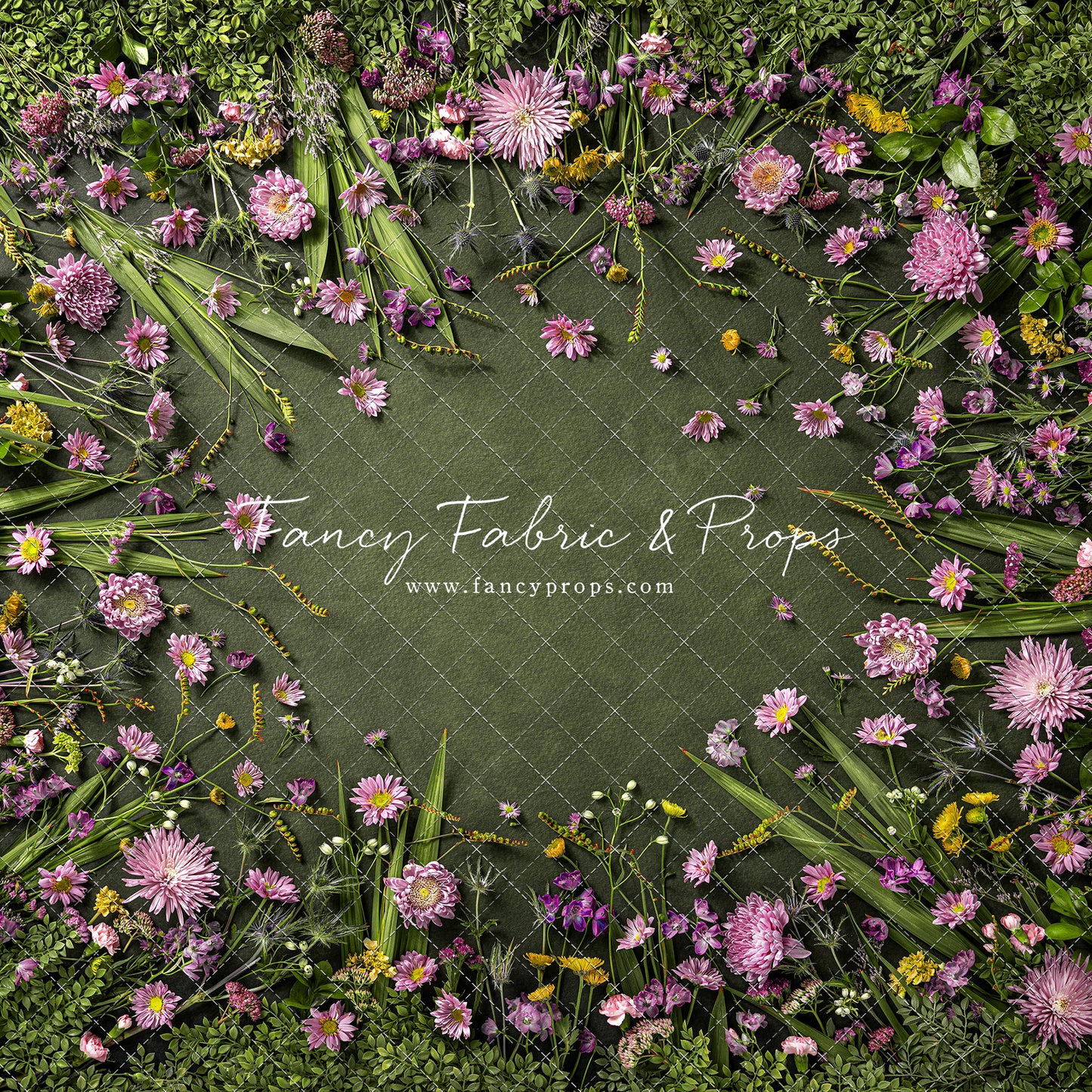 Chrysanthemum Blooms