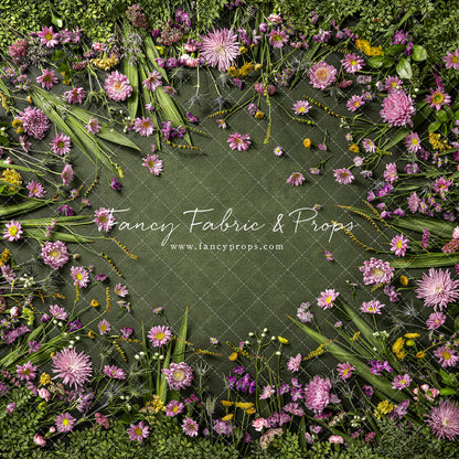 Chrysanthemum Blooms