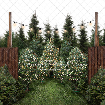 Cut & Carry Tree Farm