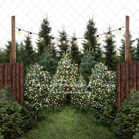 Cut & Carry Tree Farm