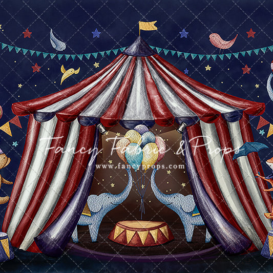 Enchanting Circus