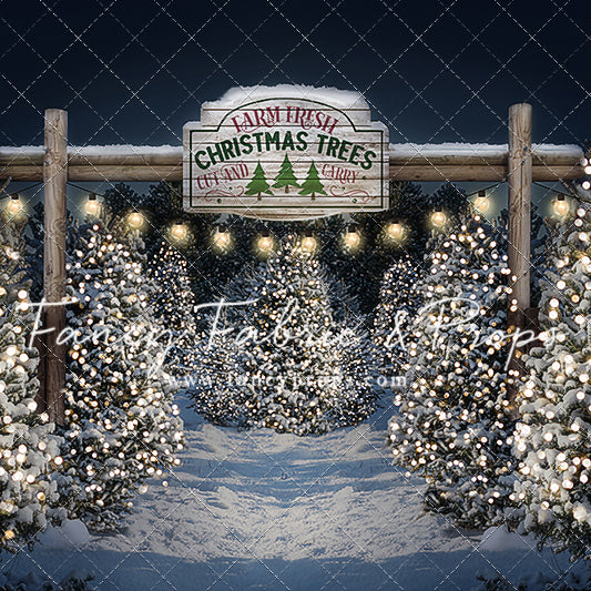 Evening Snowy Tree Farm Entrance