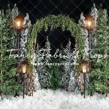 Evening Tree Farm Stroll