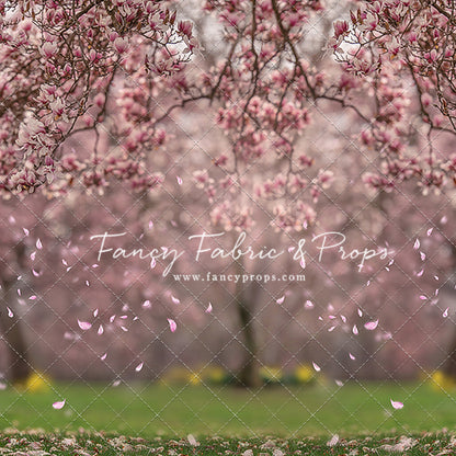 Falling Magnolias