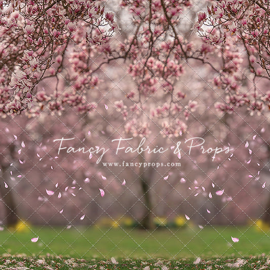 Falling Magnolias