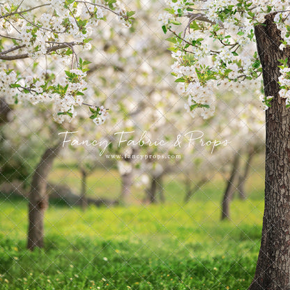 Flowering Forest Trees