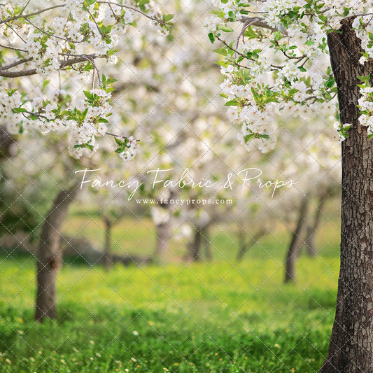 Flowering Forest Trees