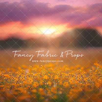 Golden Hour Wildflowers