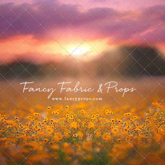 Golden Hour Wildflowers