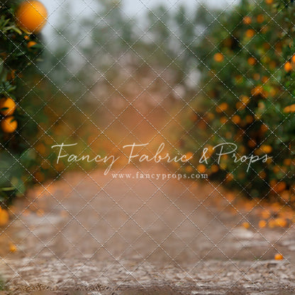 Pickin' Oranges