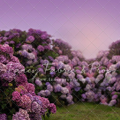 Purple Hydrangea Hollow
