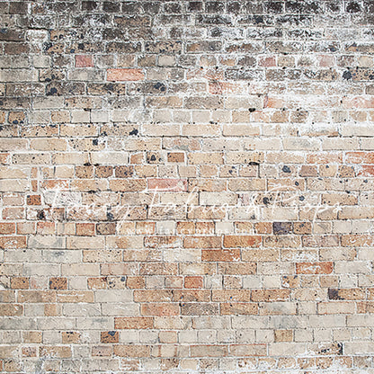 Reno Brick Wall