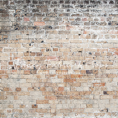 Reno Brick Wall - Petite