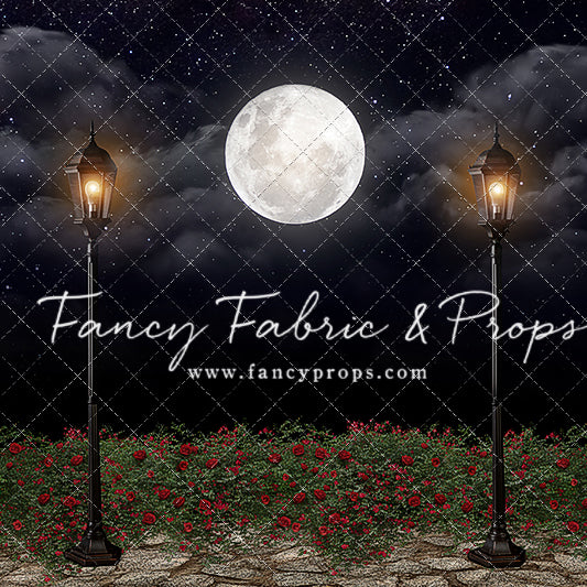 Romantic Moonlit Stroll