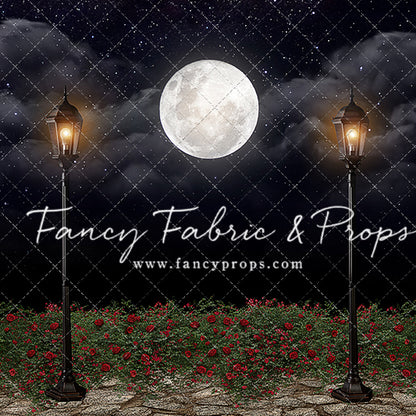 Romantic Moonlit Stroll