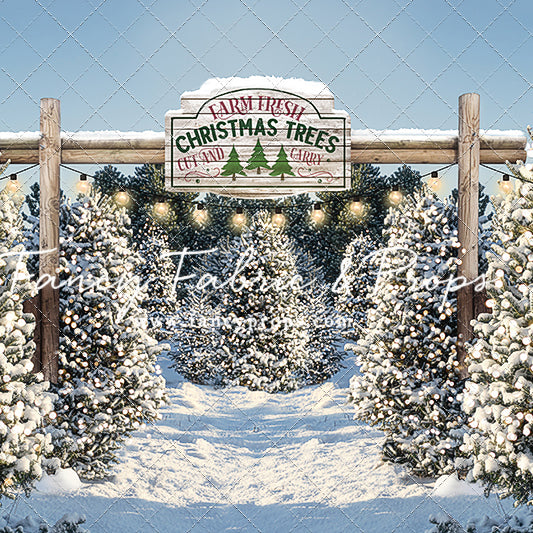Snowy Winter Tree Farm