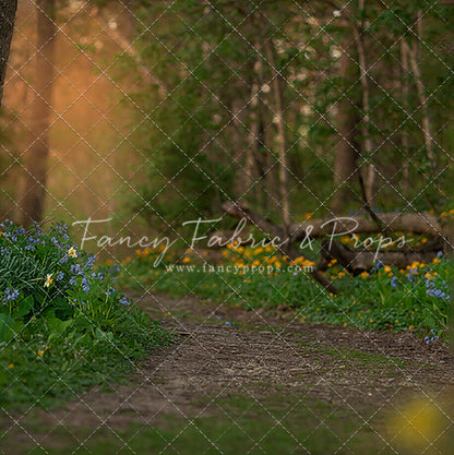 Spring Bluebell Path