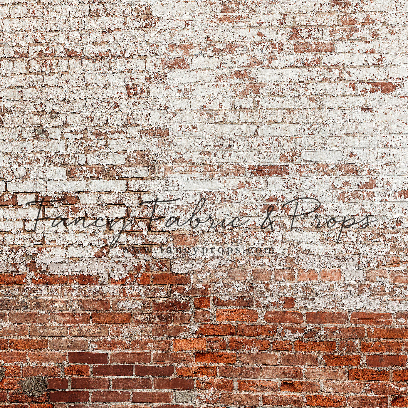 St Louis Brick Wall - Petite