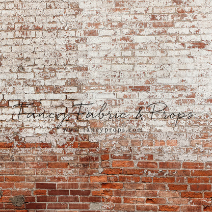 St Louis Brick Wall - Petite