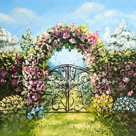 Through The Iron Gates