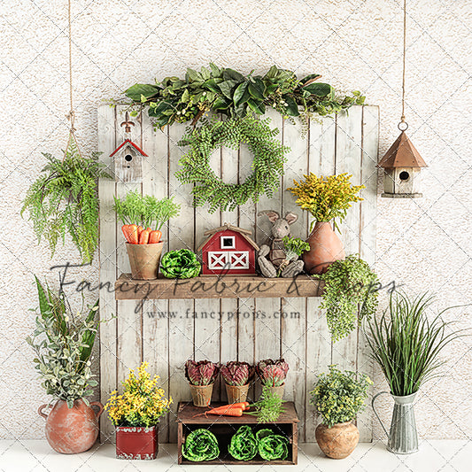 Veggie Haven
